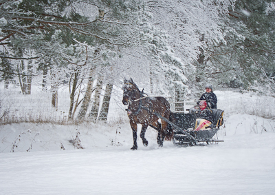 One horse open sleigh