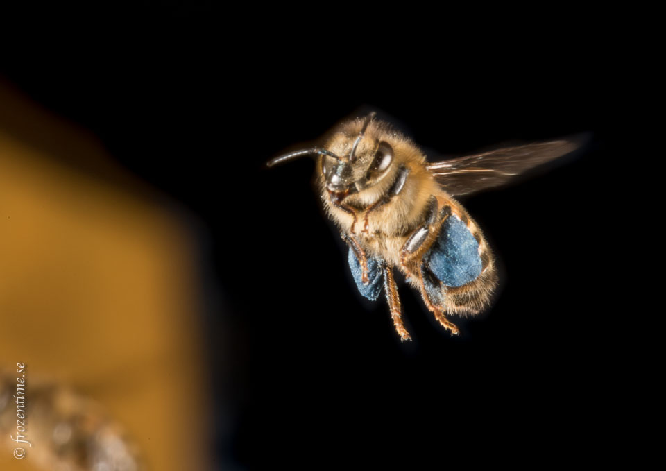 D8C_9068-Edit-2.jpg