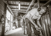 blacksmith_show blacksmith_show