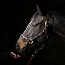 mrh_pics_orig mrh_pics_orig