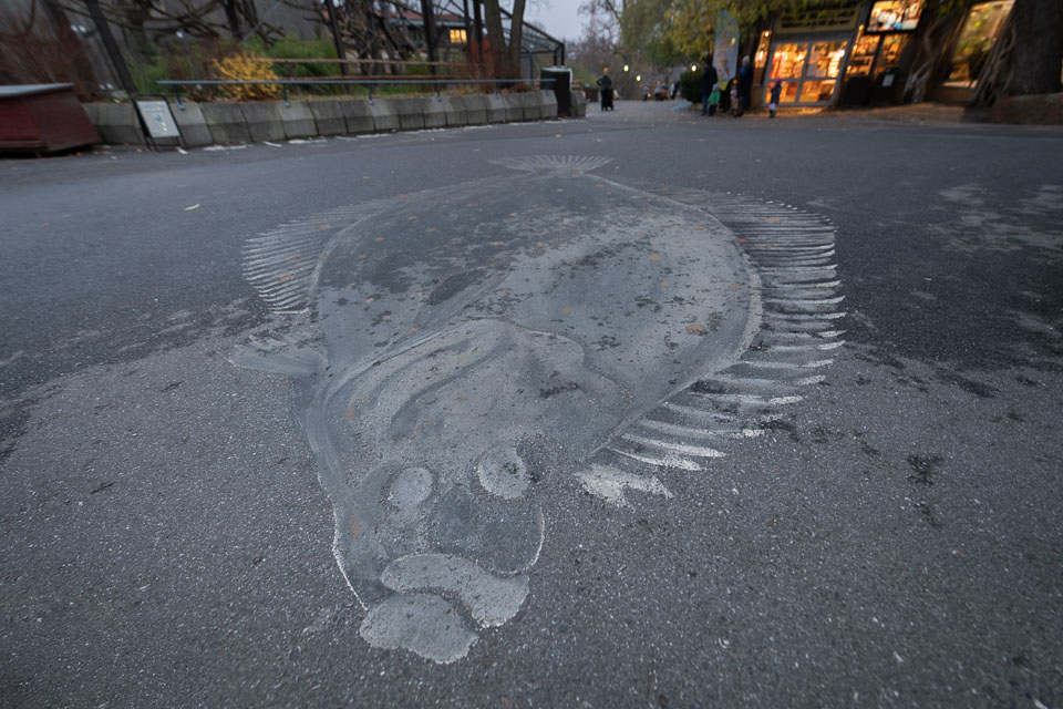 D5A_0722: Gatukonst utanför entrén till BSSC, Skansen / Street-art outside the entrance to BSSC, Skansen