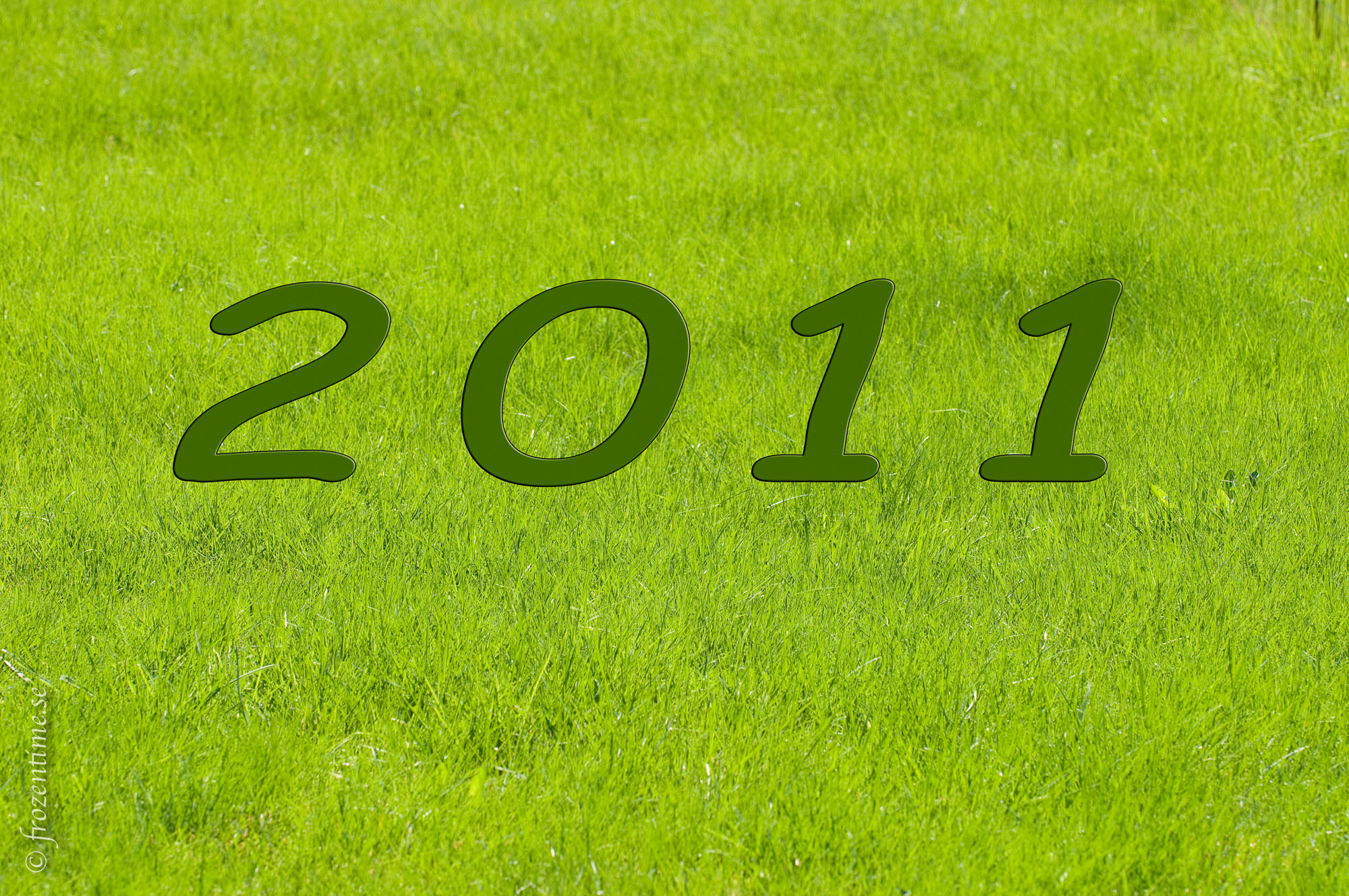 date_2011_grass.jpg