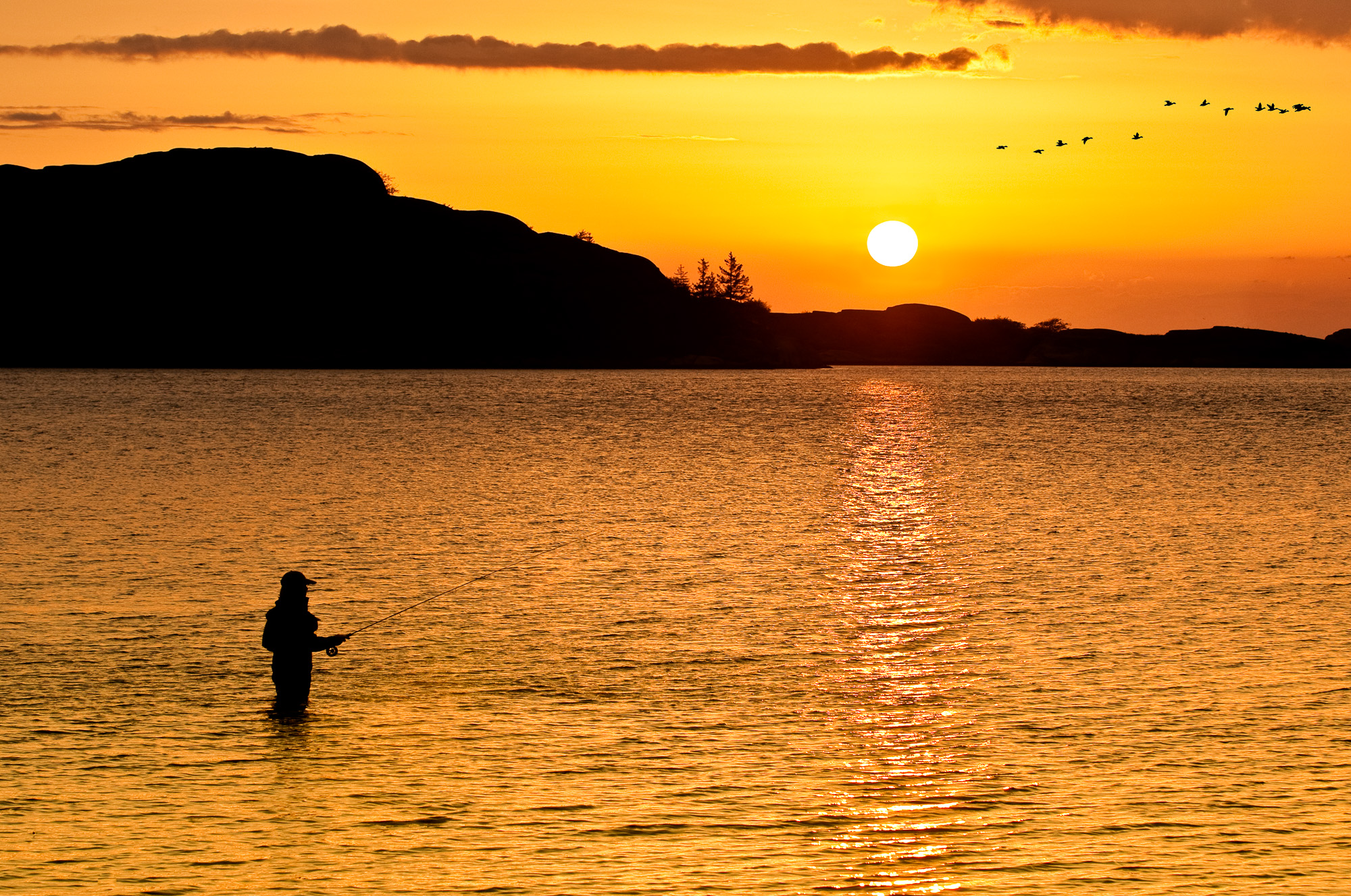 D3C_1864-Edit.jpg