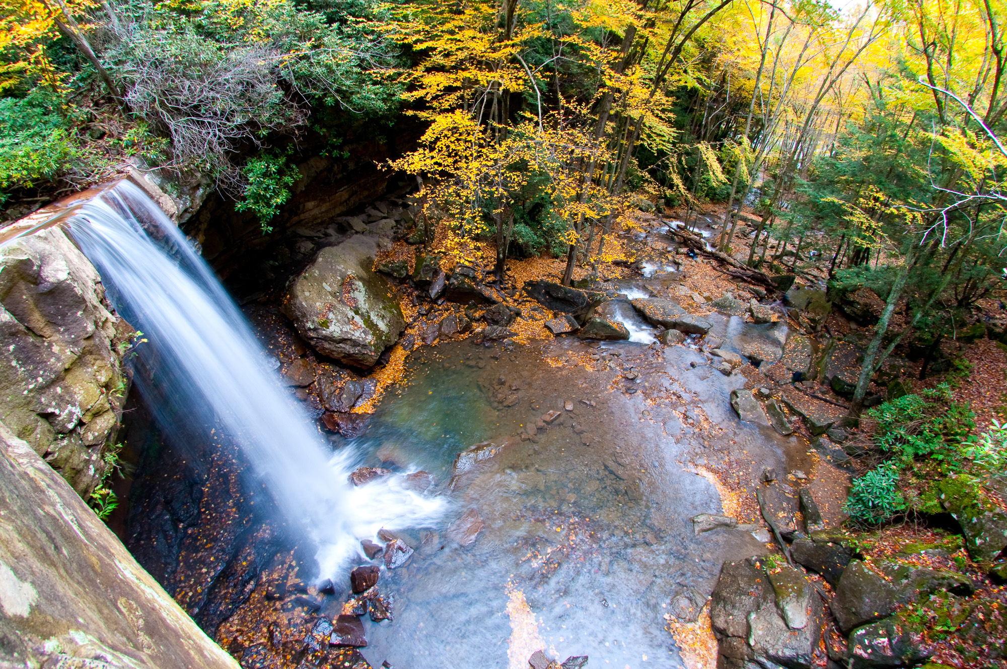 D4C_0382-Edit.jpg