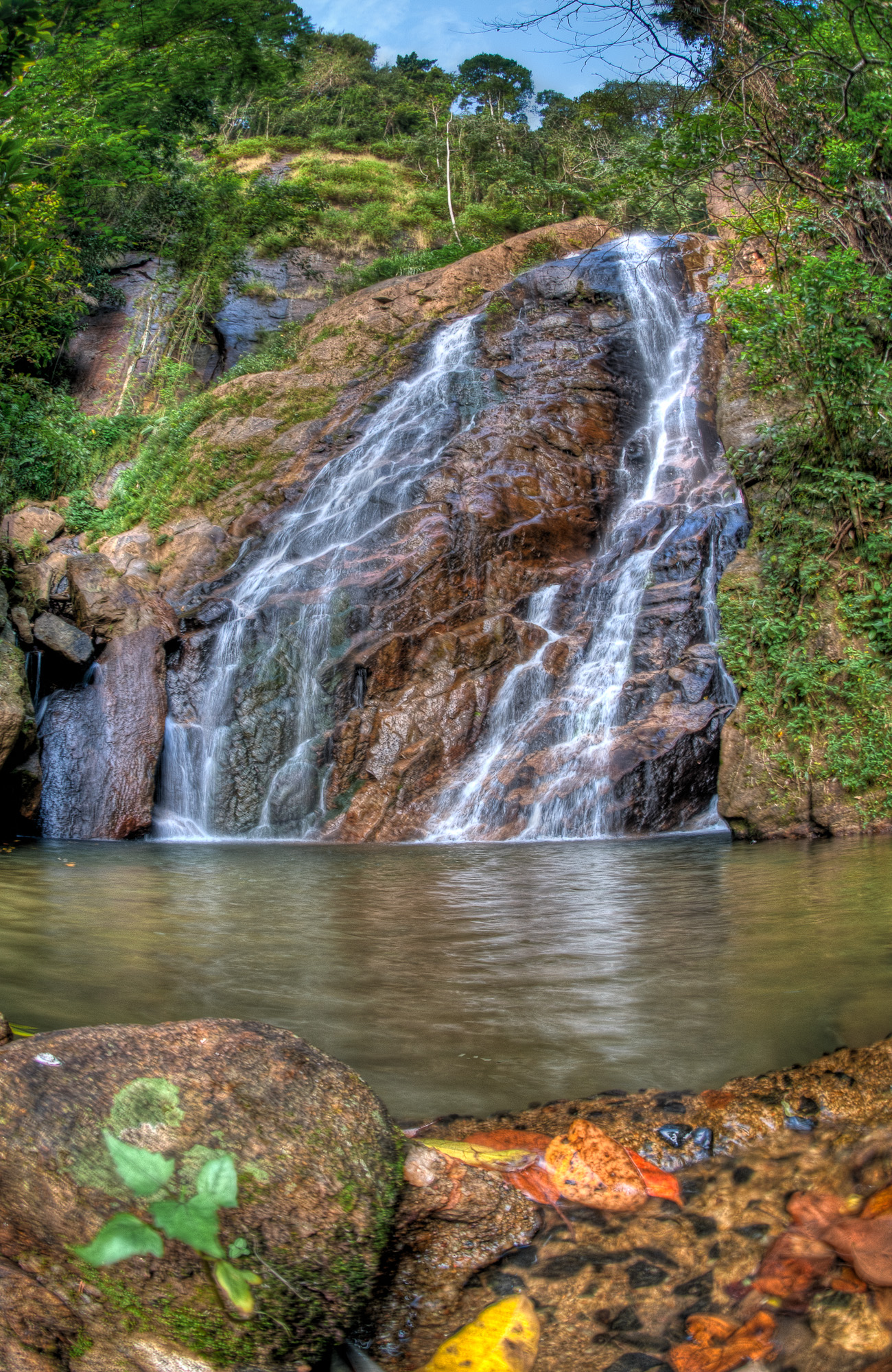 D5C_0972_3_4_5_6_Edit.jpg