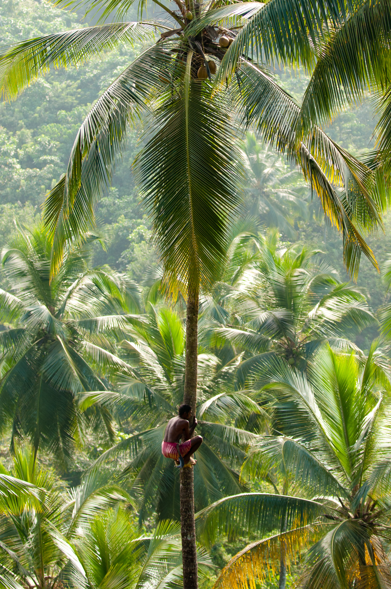 D5C_1166.jpg