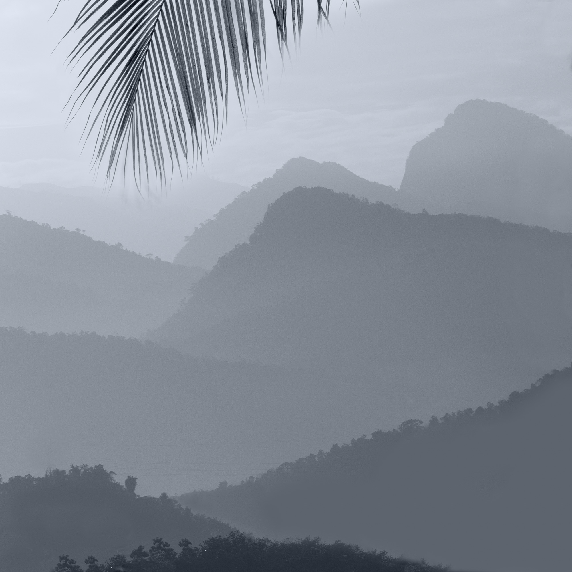 D5C_1352_Edit.jpg