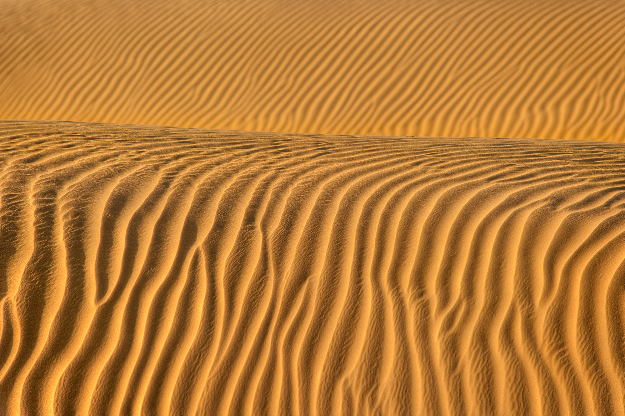 D7D_0840_tonemapped_2.jpg