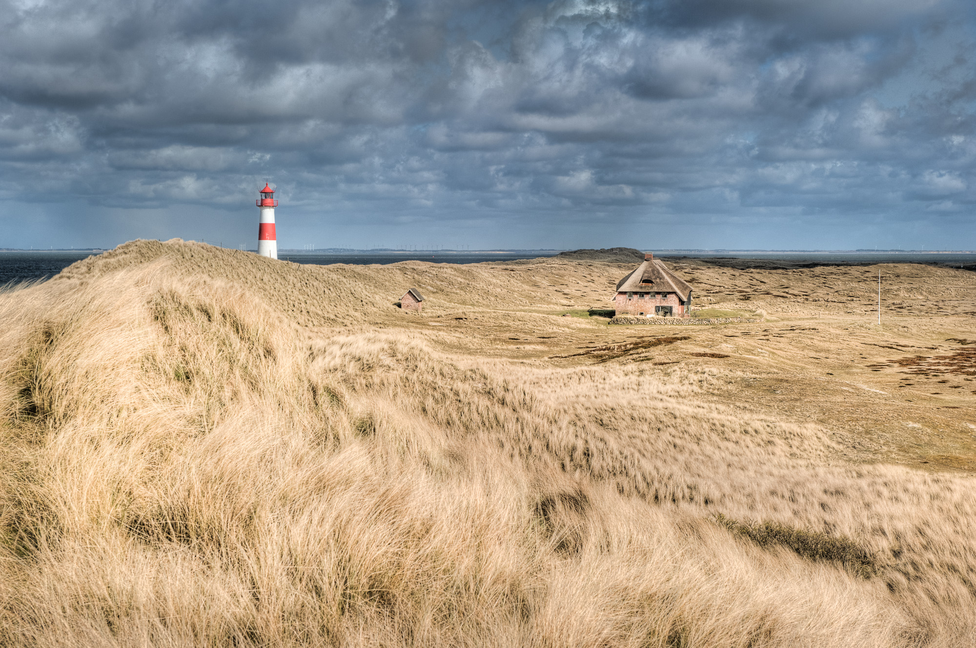 D7D_6105_6_9.jpg