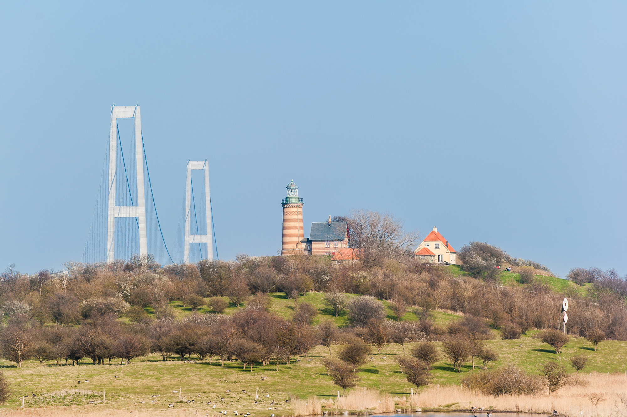D7D_8059.jpg