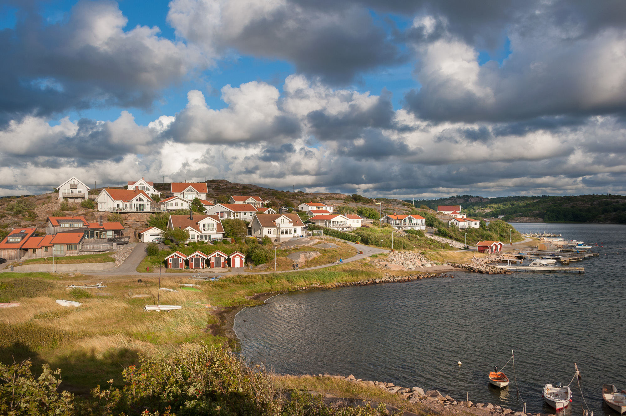 D7E_9038.jpg