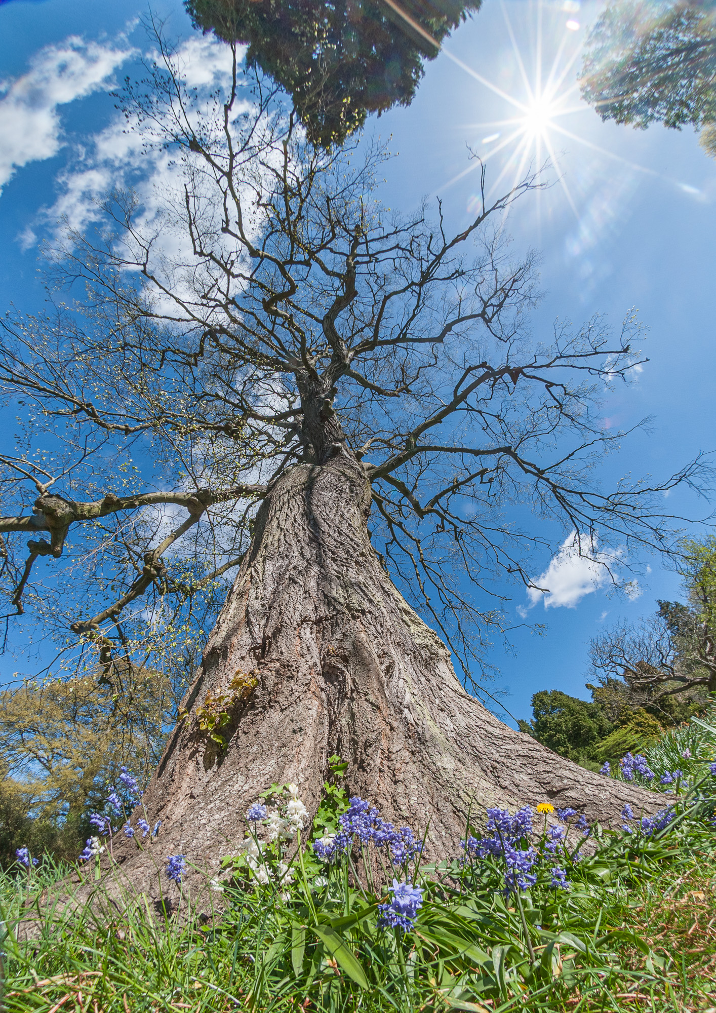 D8K_5328-HDR.jpg