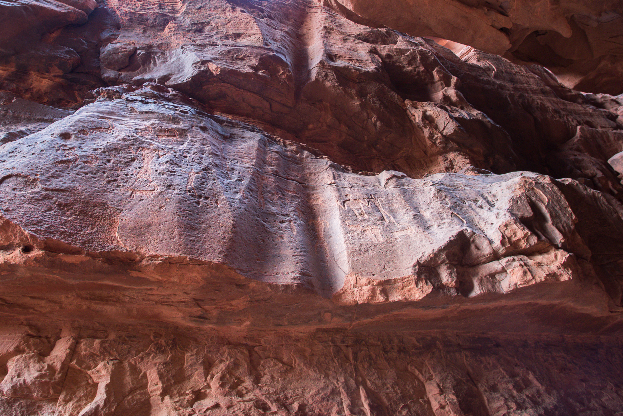 D8M_0616.jpg