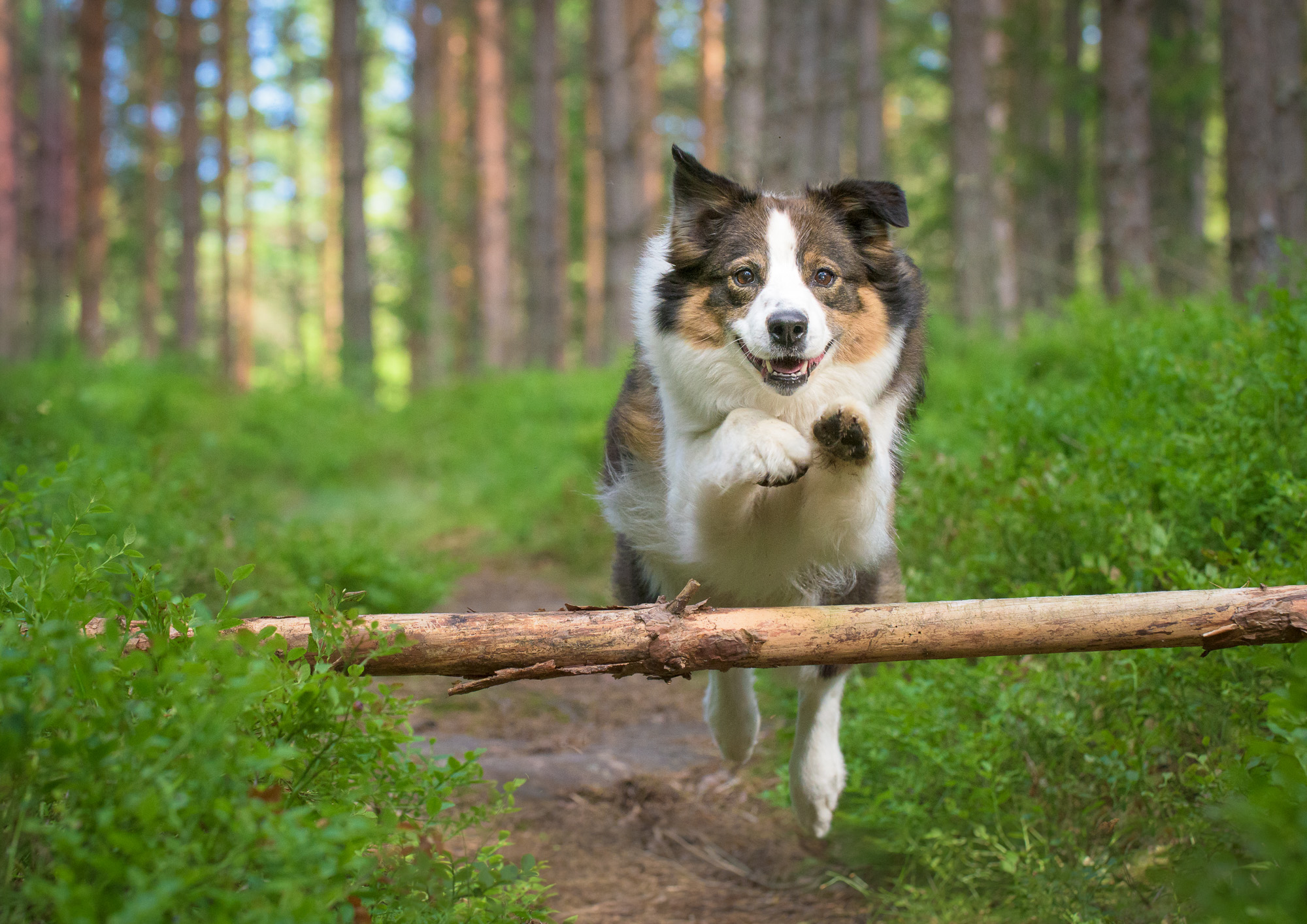 D8M_5311-Edit.jpg