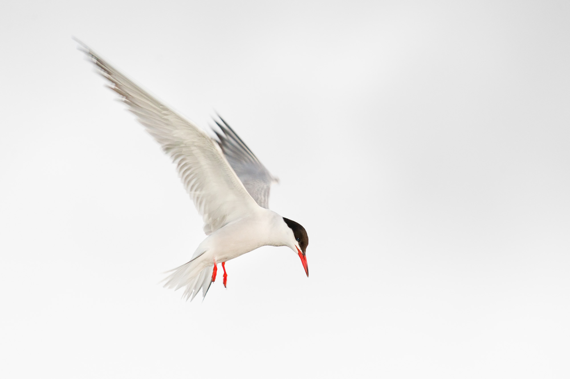 D9B_1817_Edit.jpg