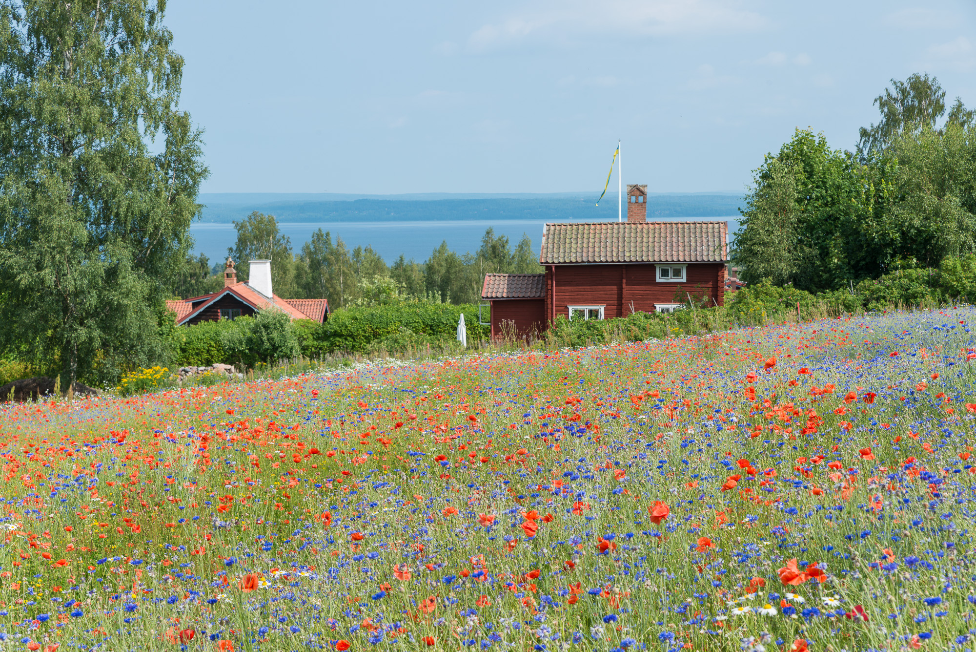D9H_0776.jpg