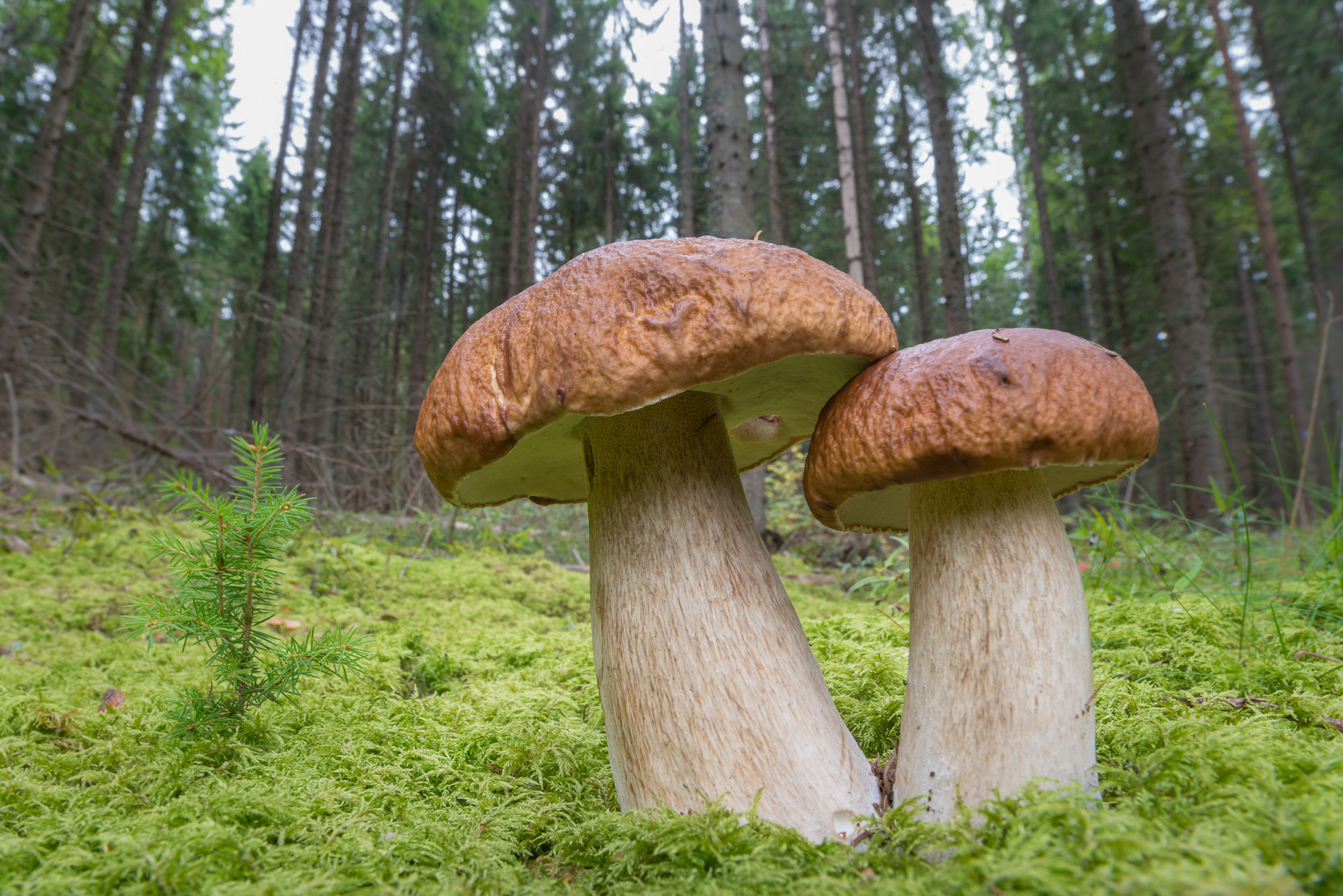 D9H_3362.jpg