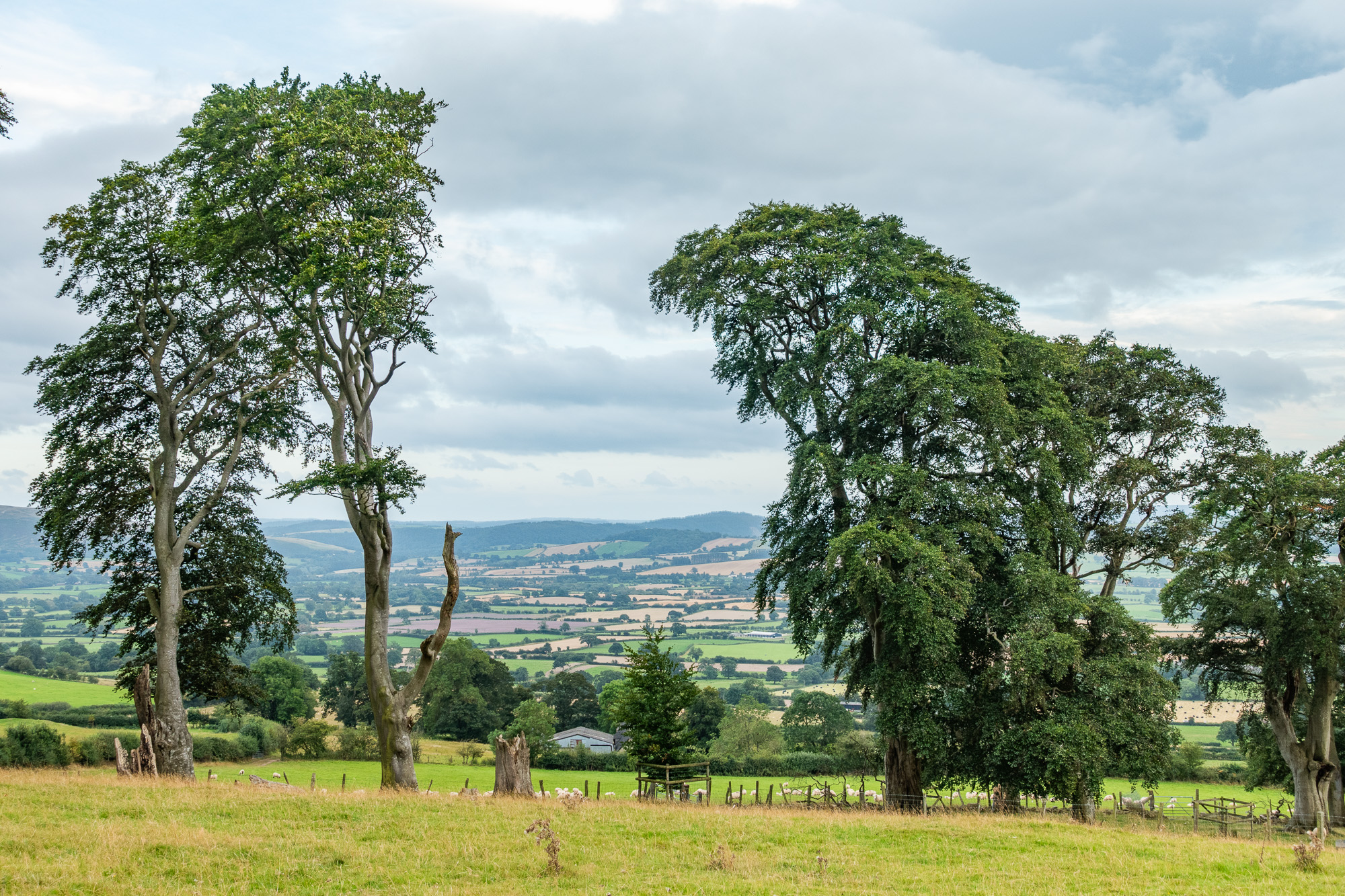 DSC02664-HDR.jpg