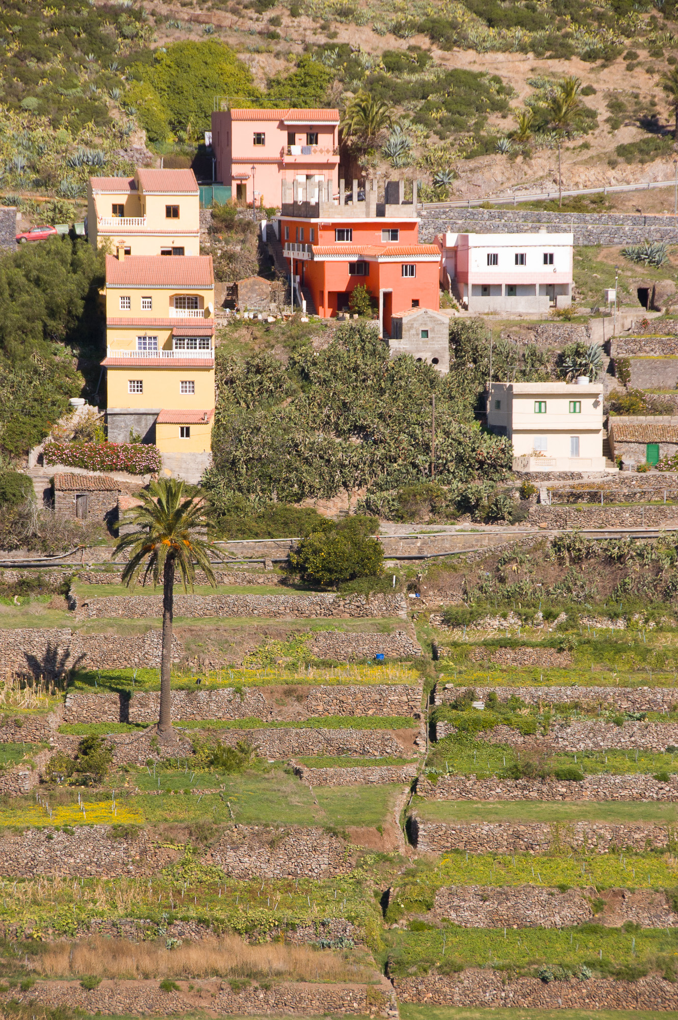 DSC_3084.jpg