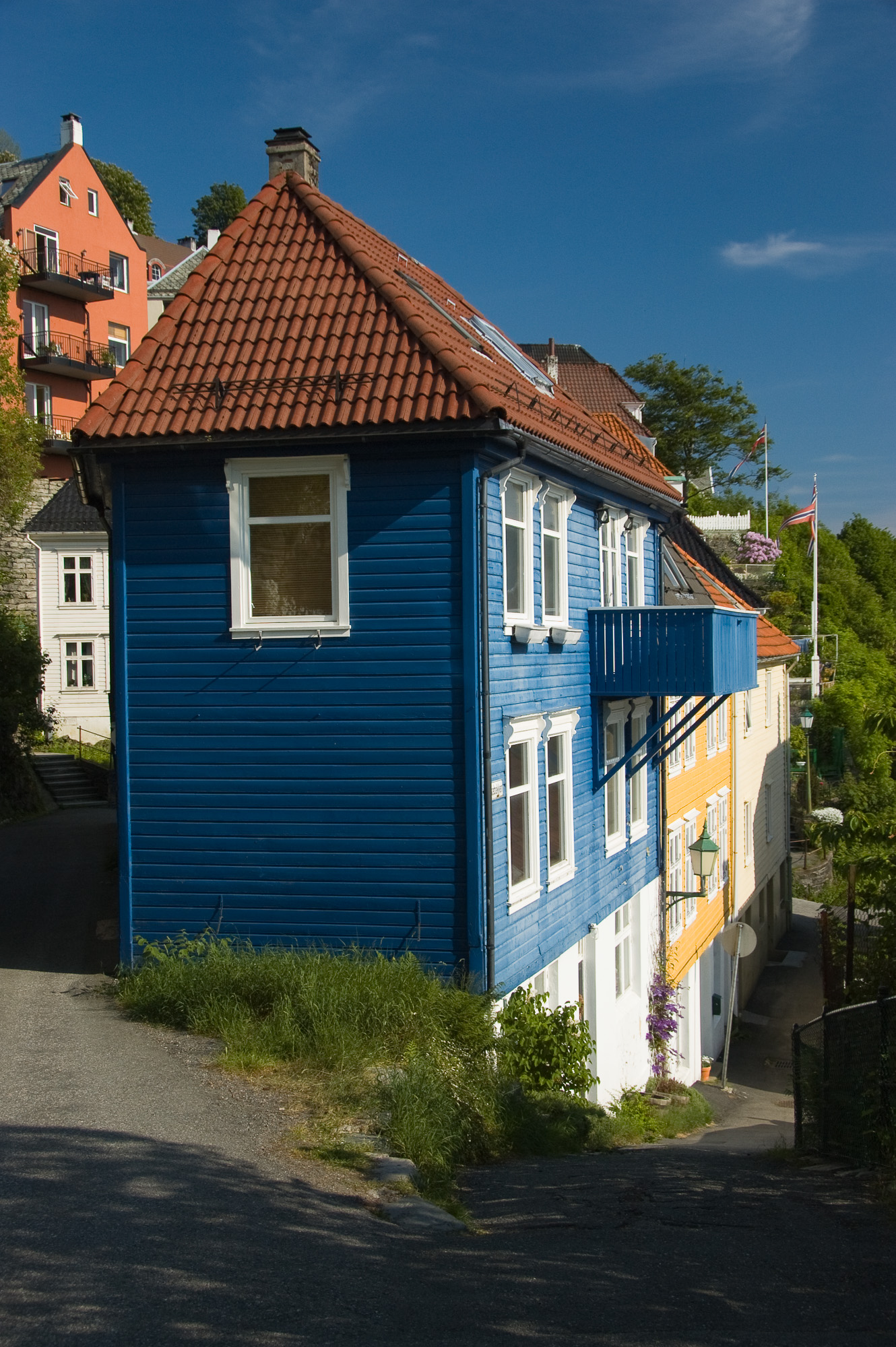 DSC_7194.jpg