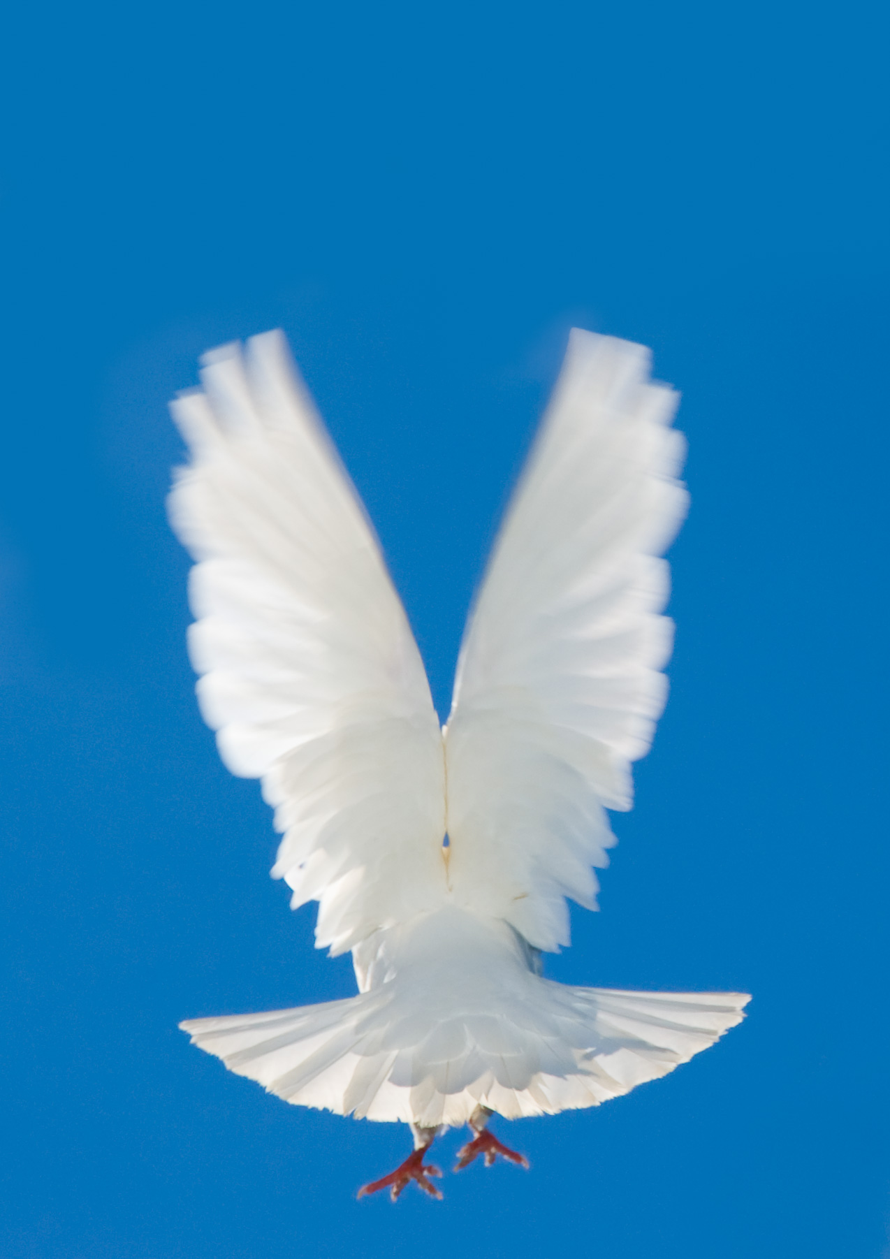 DSC_8814-Edit.jpg