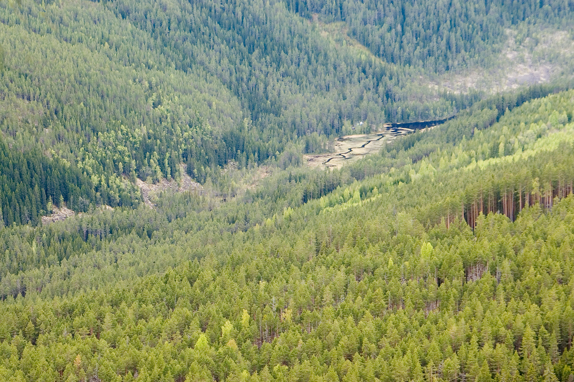 mrh_448.jpg