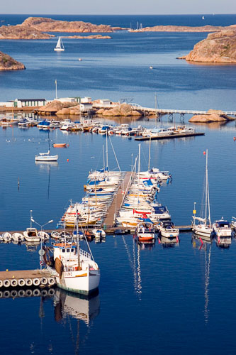 bovall_6.jpg