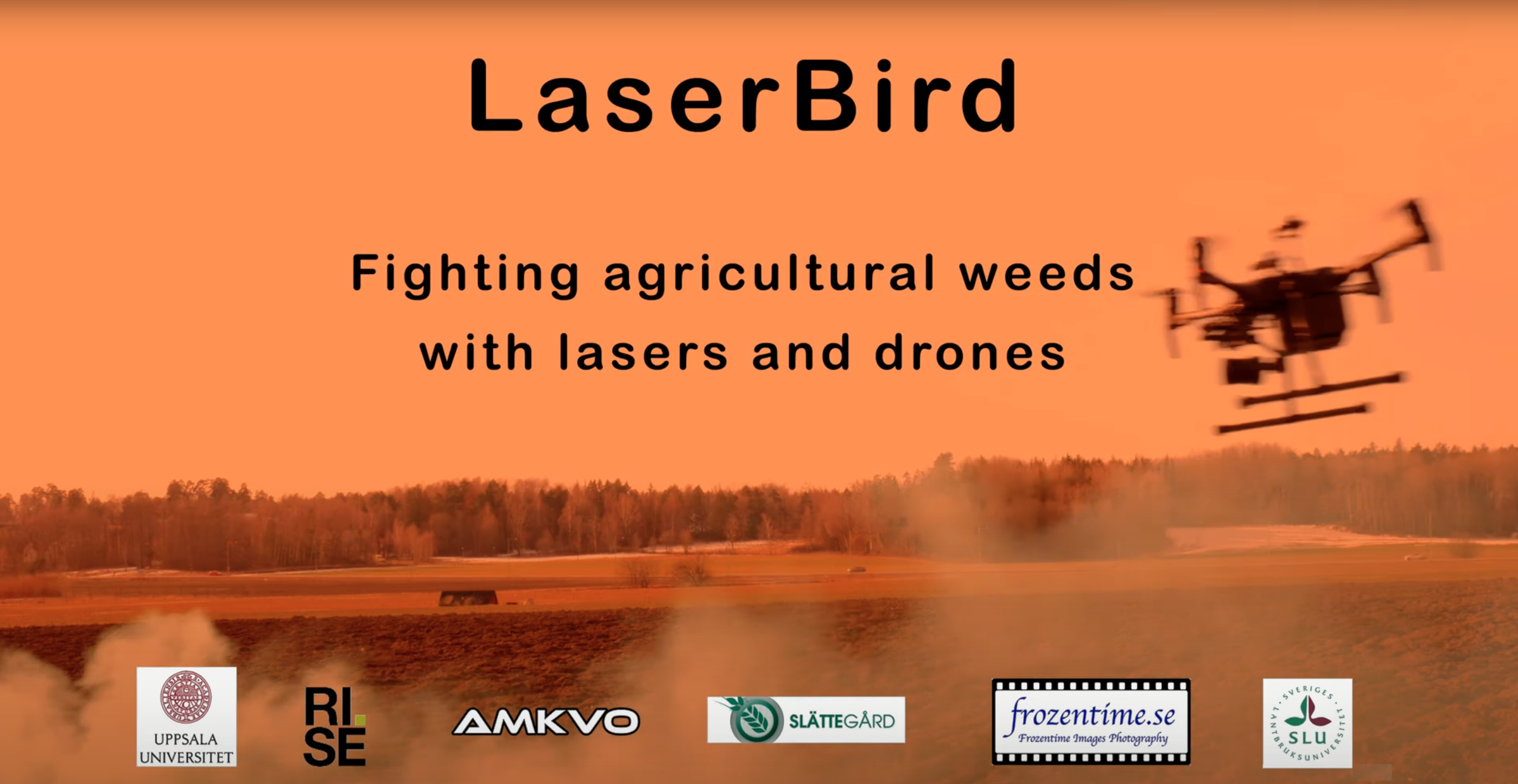 Laserbird in flight